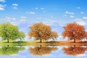 Why Your Marketing Strategy Should Shift with the Seasons: Fall Edition 🍂