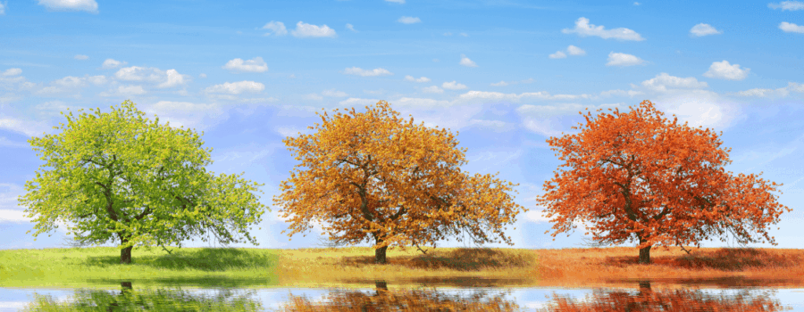 Why Your Marketing Strategy Should Shift with the Seasons: Fall Edition 🍂