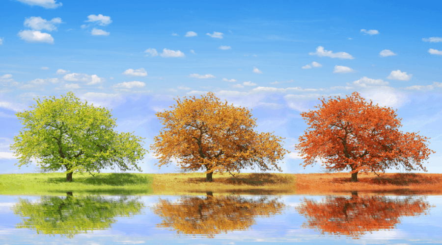 Why Your Marketing Strategy Should Shift with the Seasons: Fall Edition 🍂